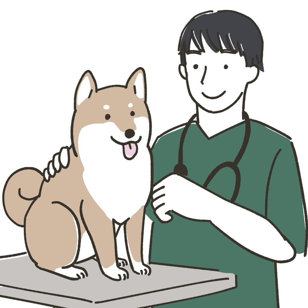 Avatar Veterinario