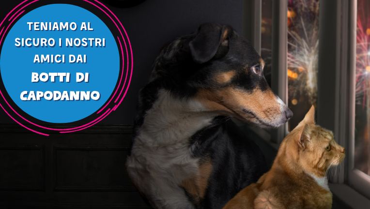 Teniamo al sicuro i nostri amici dai botti di Capodanno