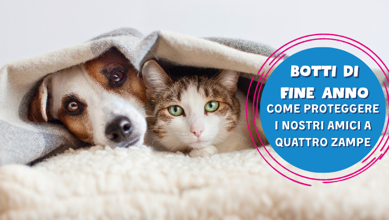 Botti di fine anno: come proteggere i nostri amici a quattro zampe