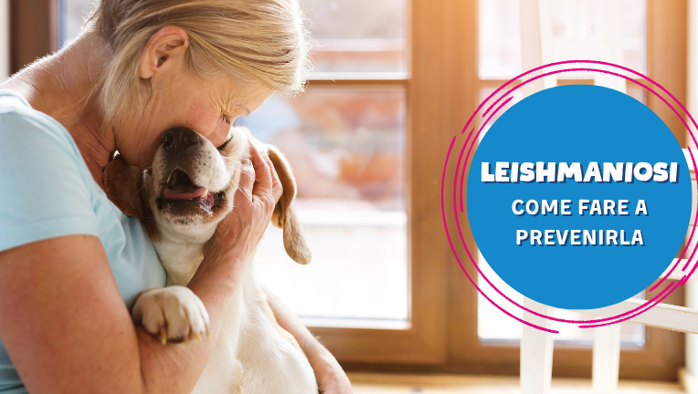 Leishmaniosi: di cosa si tratta e come fare a prevenirla