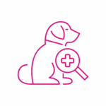 Servizi veterinari Clinica Veterinaria Zarcone 24H: Dermatologia