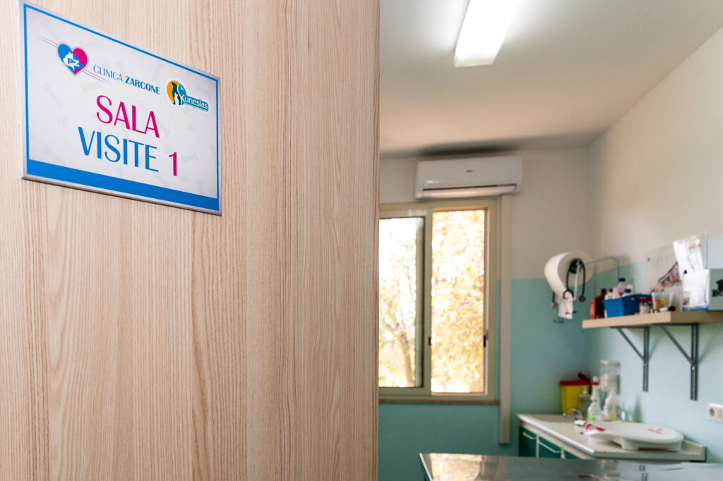 sala-visite-clinica-zarcone-cinisi Una porta con un cartello con la scritta SALA VISITE 1 si apre su una sala di visita medica ben illuminata, con una finestra, scaffali, attrezzature mediche e un tavolo in acciaio inossidabile.