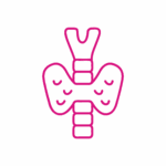 Servizi veterinari Clinica Veterinaria Zarcone 24H: Endocrinologia