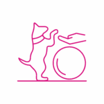 Servizi veterinari Clinica Veterinaria Zarcone 24H: Fisioterapia e Riabilitazione