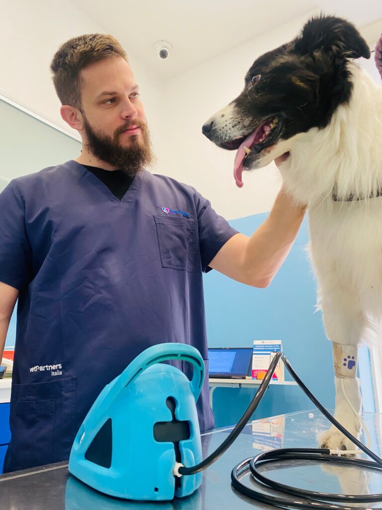 Veterinario della Clinica Veterinaria Zarcone 24H visita un cane durante un controllo in clinica, con un dispositivo medico sul tavolo. Veterinario a Palermo