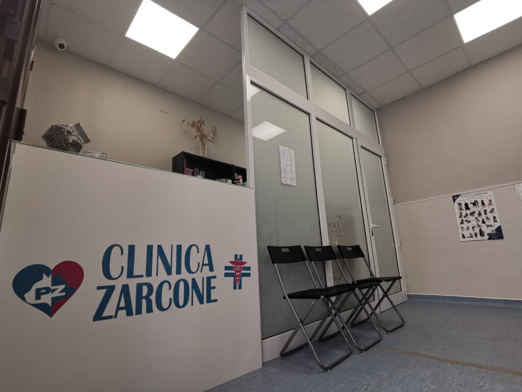 hdrpl Area di ricevimento della clinica veterinaria di Palermo - Clinica Zarcone, caratterizzata da una scrivania bianca, dal logo della clinica, da tre sedie pieghevoli nere vicino a una parete di vetro smerigliato, da un poster sulla salute e da luci fluorescenti a soffitto.