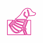 Servizi veterinari Clinica Veterinaria Zarcone 24H: Radiografia