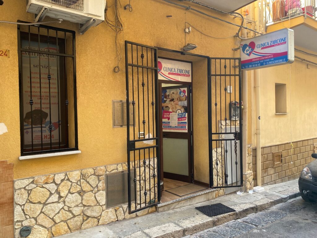 esterno L'ingresso di una clinica veterinaria con l'insegna Clinica Zarcone sopra la porta. L'edificio ha pareti gialle, una finestra sbarrata, un cancello nero parzialmente aperto e una piccola auto parcheggiata sulla strada.